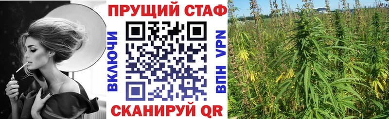 Купить наркотики цена Звенигово МАРИХУАНА Cocaine Амфетамин Alpha-PVP Меф Гашиш