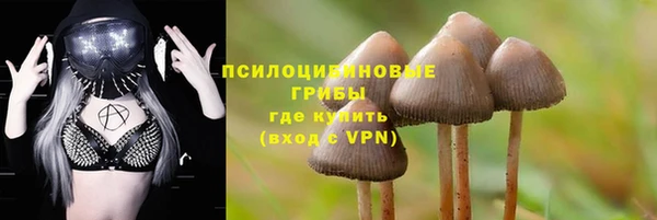 дмт Богородицк