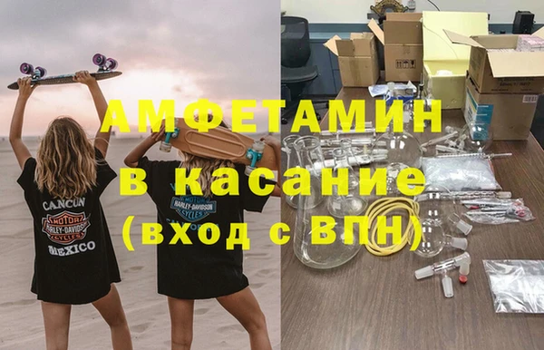 ГАЛЛЮЦИНОГЕННЫЕ ГРИБЫ Богданович