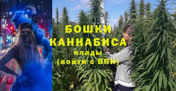 дмт Богородицк
