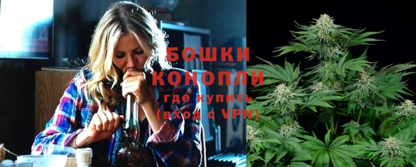 дмт Богородицк