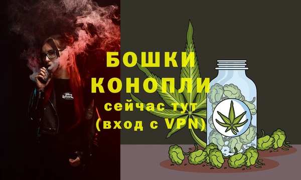 2c-b Богородск
