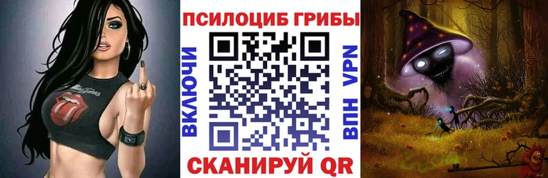 MEGA онион  сколько стоит  Звенигово  Псилоцибиновые грибы Cubensis 